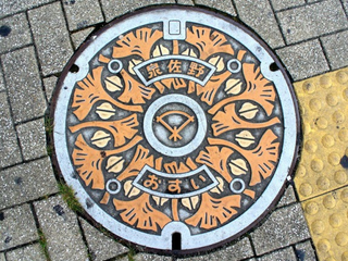 Illustration for article titled The World of Japanese Manholes is Wonderful and Colorful